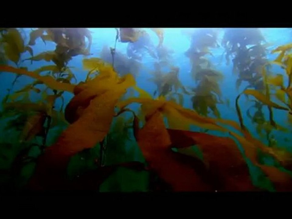 Kur'an Videoları (Al-i İmran 15)