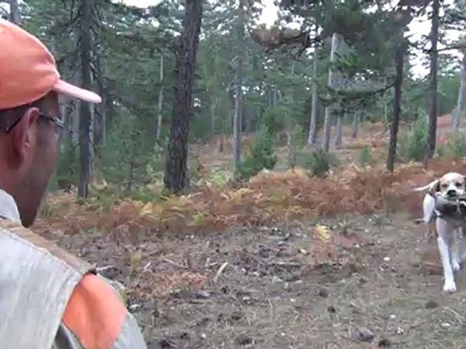 ŞEF...ÇULLUK APORT...