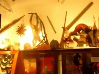 MUSEO DI STORIA NATURALE A TRIESTE - videata-