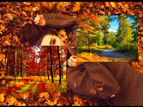 CZERWONE GITARY - KWIATY WE WŁOSACH