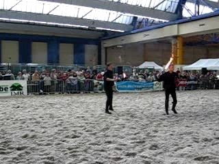 chevaux expo charleroi 036