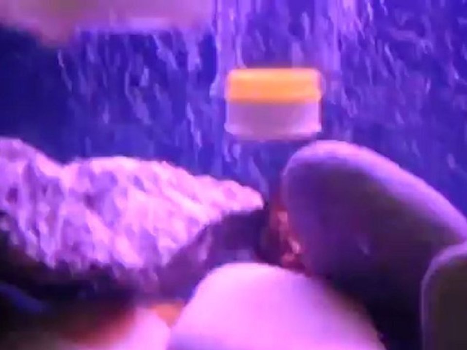 VIDEO0069