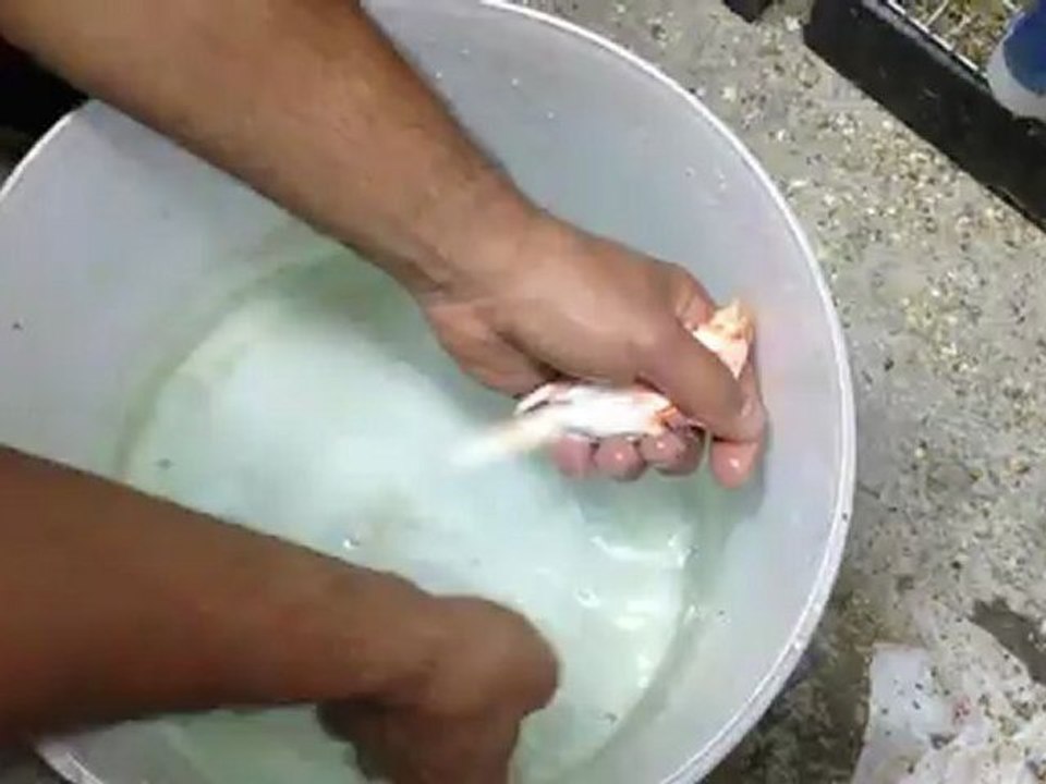 047suita du lavage  des mosaiques