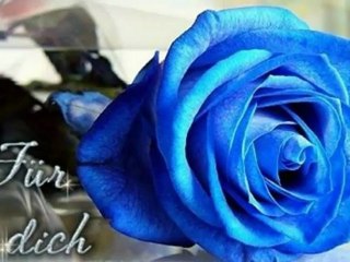 Du hast heut Geburtstag Süsse!!!! Und soooooooo gratuliere ich Dir!