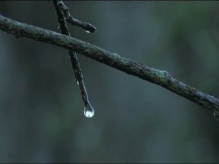 Reportage Au fil de l'eau