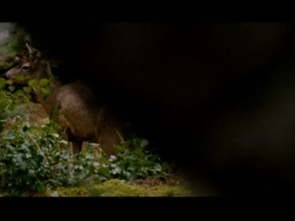 Stewart, Pattinson and Lautner gear up for end of "Twilight"