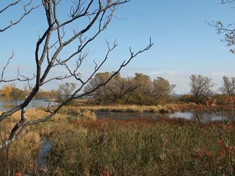 Paysages d' Automne 2012 Parc des Rapides LaSalle Qc