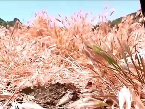 Мистер Справедливость .mp4