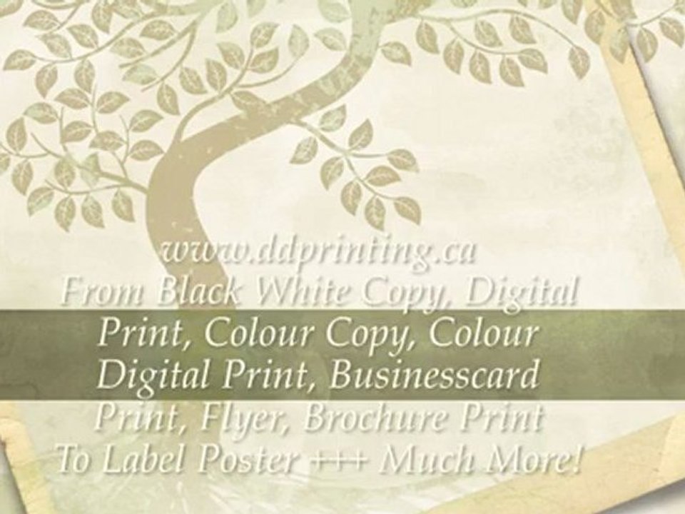Copy & Print Store Online. High Quality Copy & Print Store.