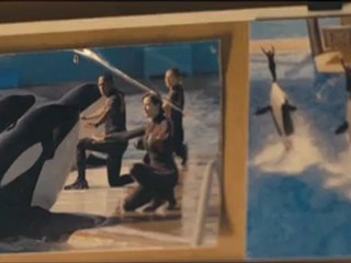 Rust and Bone - Clip - Ice Cube