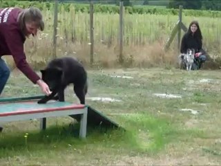 Ecole du Chiot Isa 2012