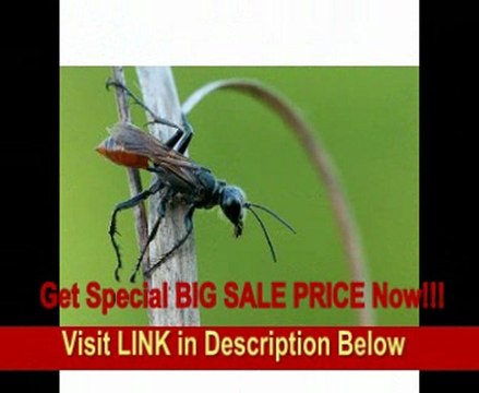 Sigma 180mm f/3.5 EX DG IF HSM APO Macro Lens for Nikon SLR Cameras