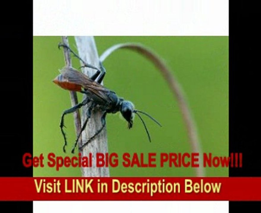 Sigma 180mm f/3.5 EX DG IF HSM APO Macro Lens for Nikon SLR Cameras