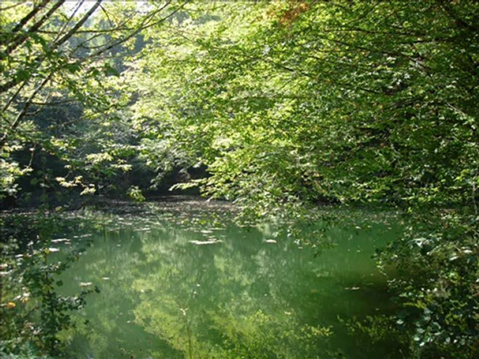 Kasım