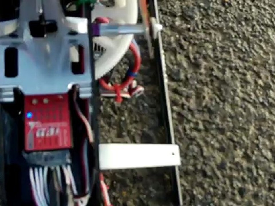 Robird g31 first test t-rex 550