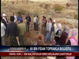 80 BİN FİDAN TOPRAKLA BULUŞTU