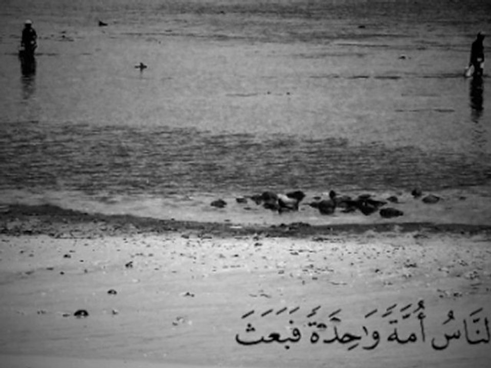 Zion Dirty Sound - Sebe Allah (Alpha Blondy cover)