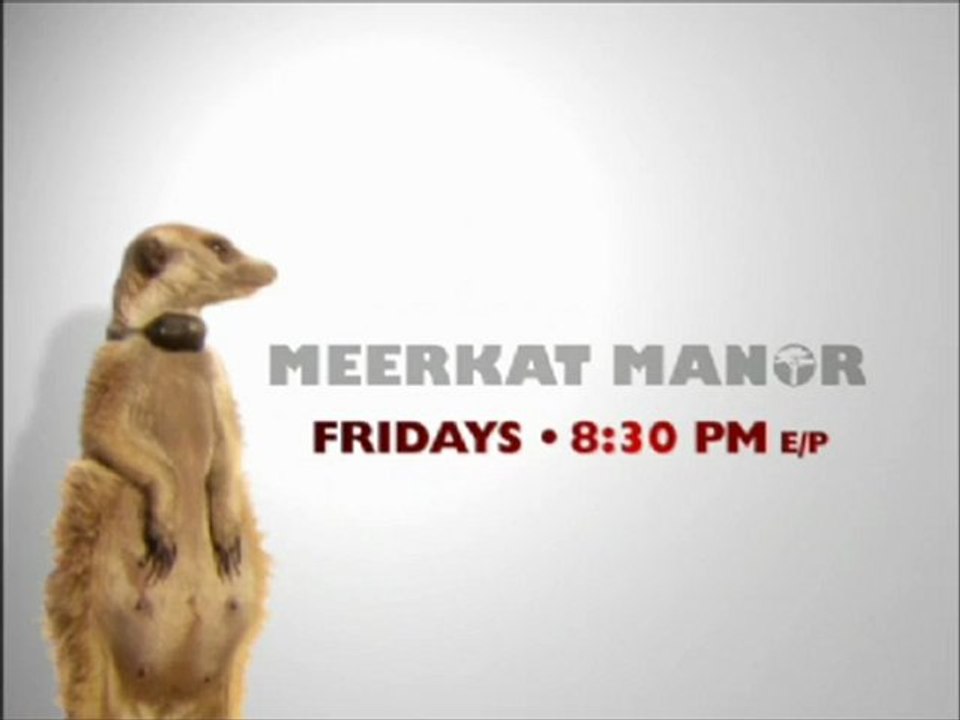 Animal Planet - Meerkat Manor Promos (2006)