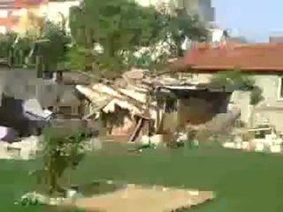 Taklacı Güvercin