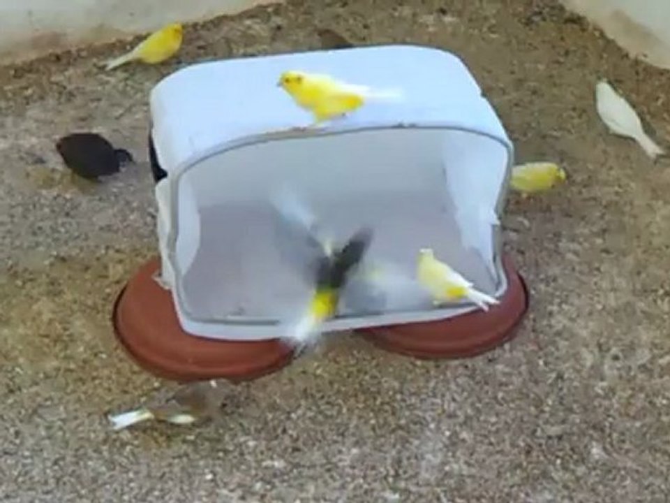 plus grande baignoire pour le bain