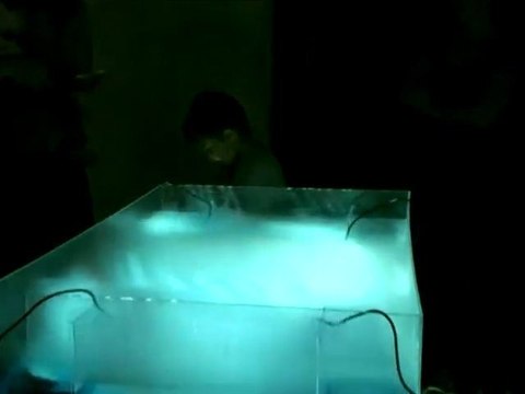 KINT A BÁRÁNY, BENT A FARKAS