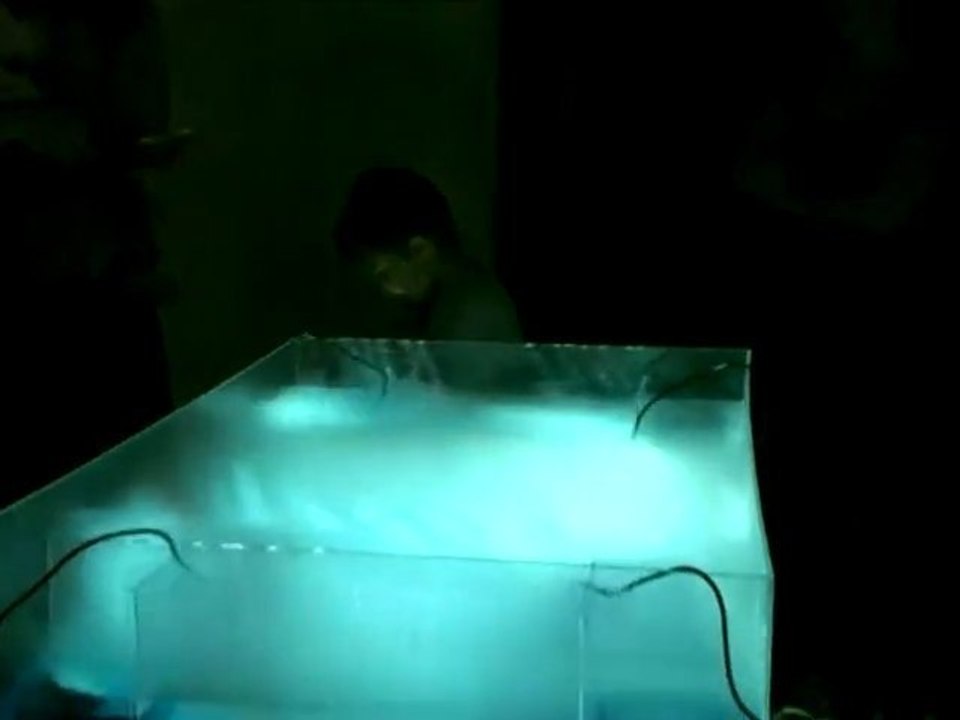 KINT A BÁRÁNY, BENT A FARKAS