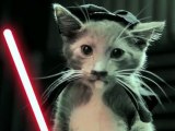 Les chatons Jedi contre-attaquent