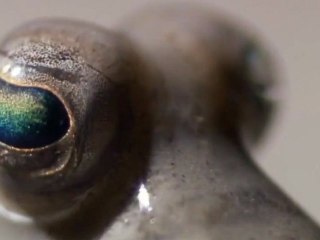 Our Story in 1 Minute