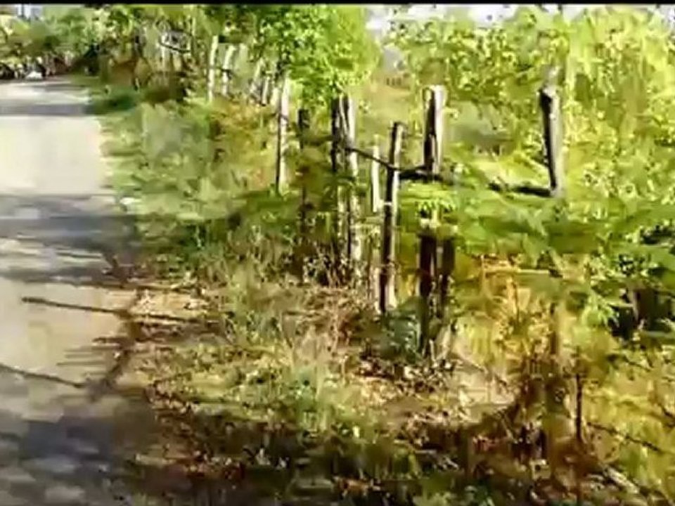 GEZELİM GÖRELİM 2