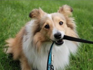 테크노바카라 ◆_O­K­5­5­9­9­.­K­R_◆  블랙잭룰 ≪⊃ Syria