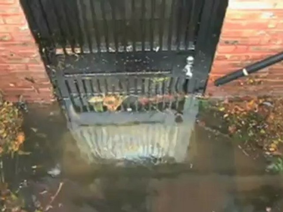 Welt ohne Filter - 2. November 2012