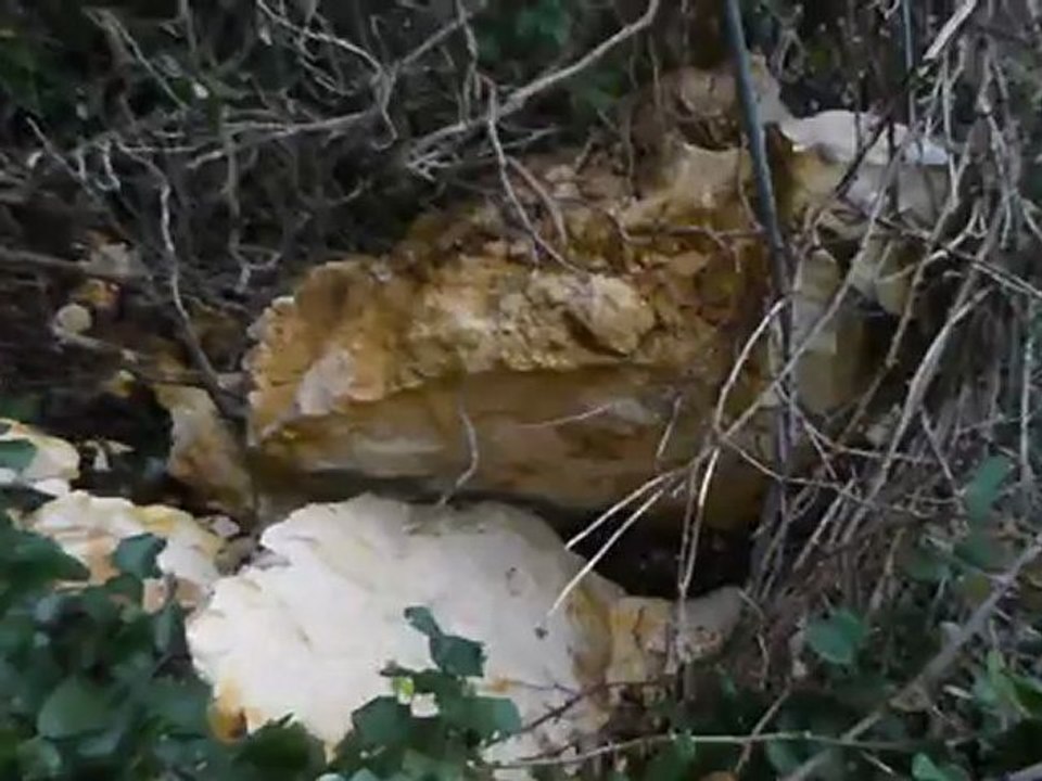 puits Ricard 03 nov 2012 (3)