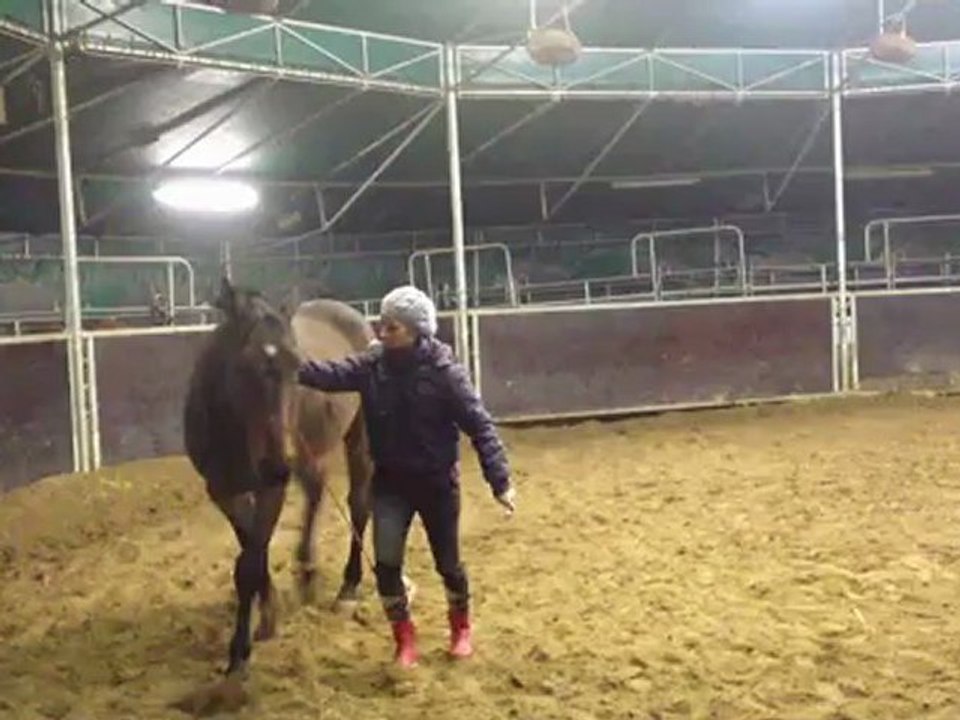 rocco jeu