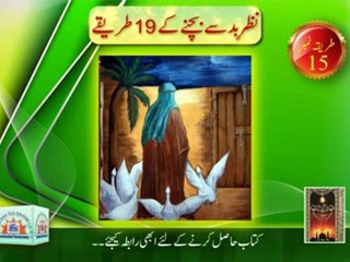 Paltu Animals aur Birds gharoon ma palnay ki takeed
