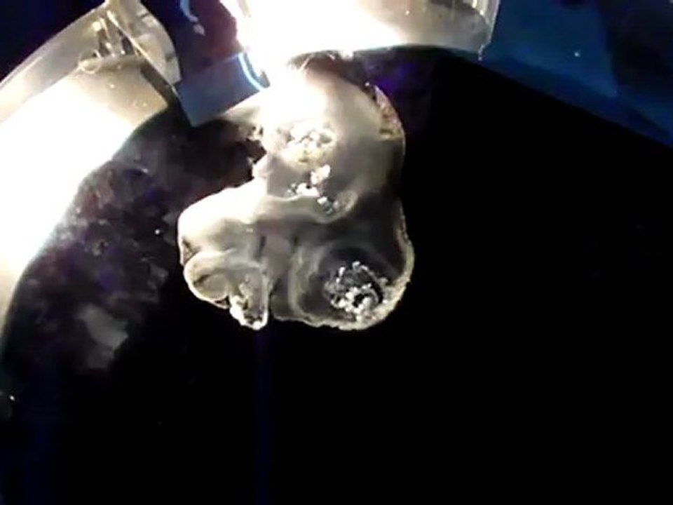 cité de l espace    azote solide