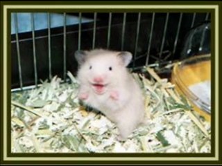 Cómo Conseguir Un Mundo Mejor