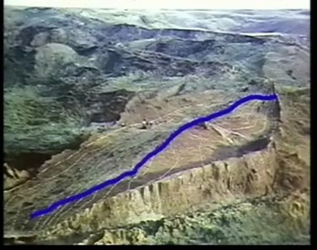 archives oubliées, l'arche de Noé 2