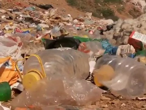 حماية البيئة حماية البيئة تتخطى الحدود الجغرافية | أفكار عالمية