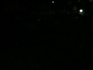 Le doux chant des grenouilles (et crapauds)