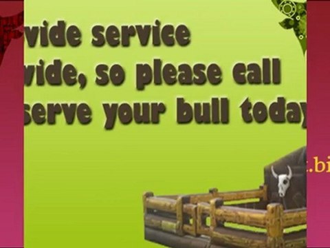 Mechanical Bull Rentals-OHIO (800) 379-4626