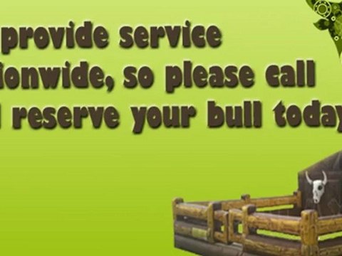 Nationwide Mechanical Bull Rentals (800) 379-4626