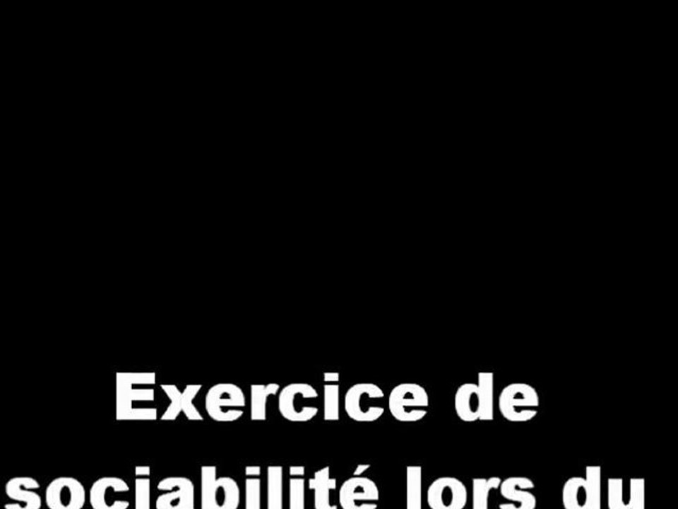 Exercice sociabilité lors du stage de Giscos