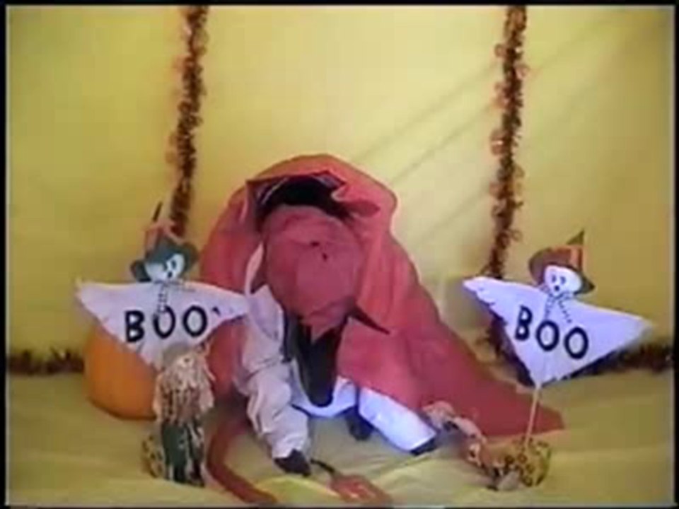 Halloween Dress Up Dog