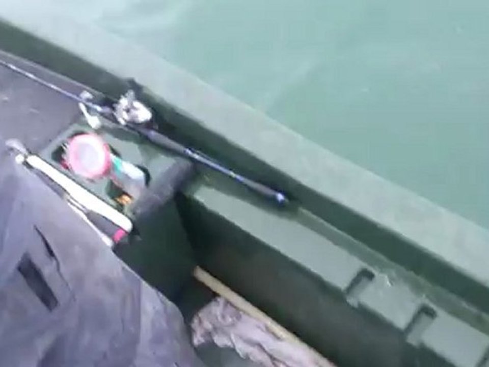 broc de 98 au metal jig !