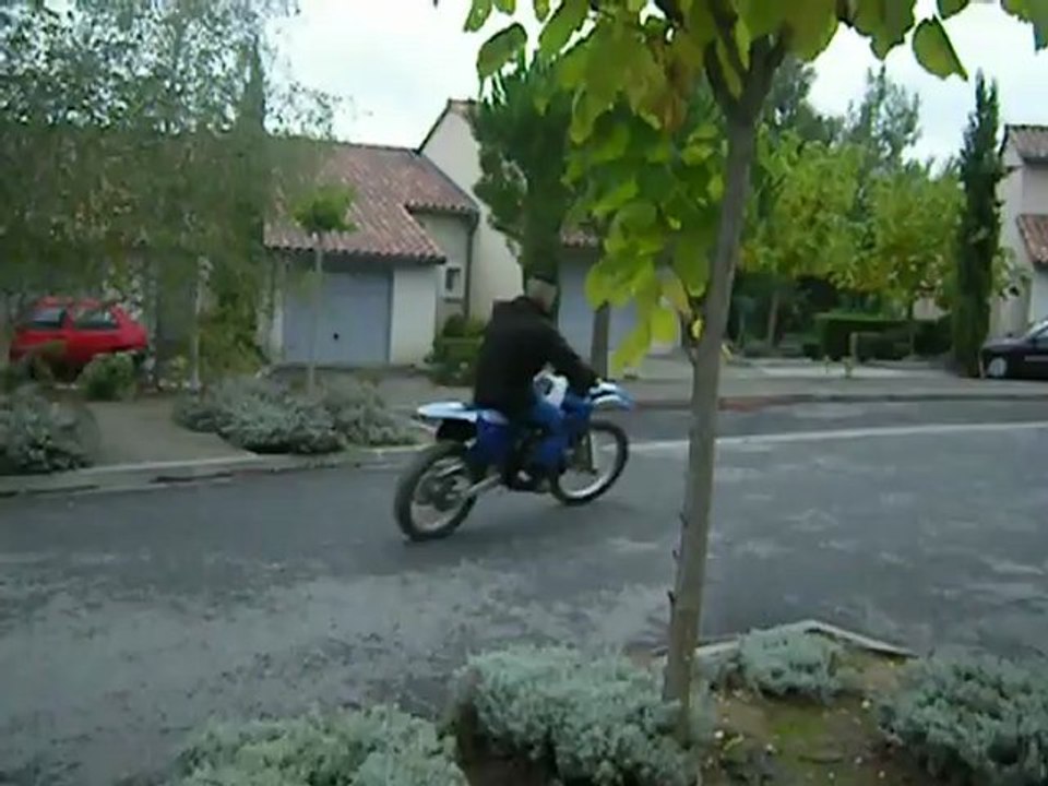 wizoo
