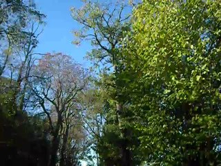 cession avec mon poto 02/11/2012