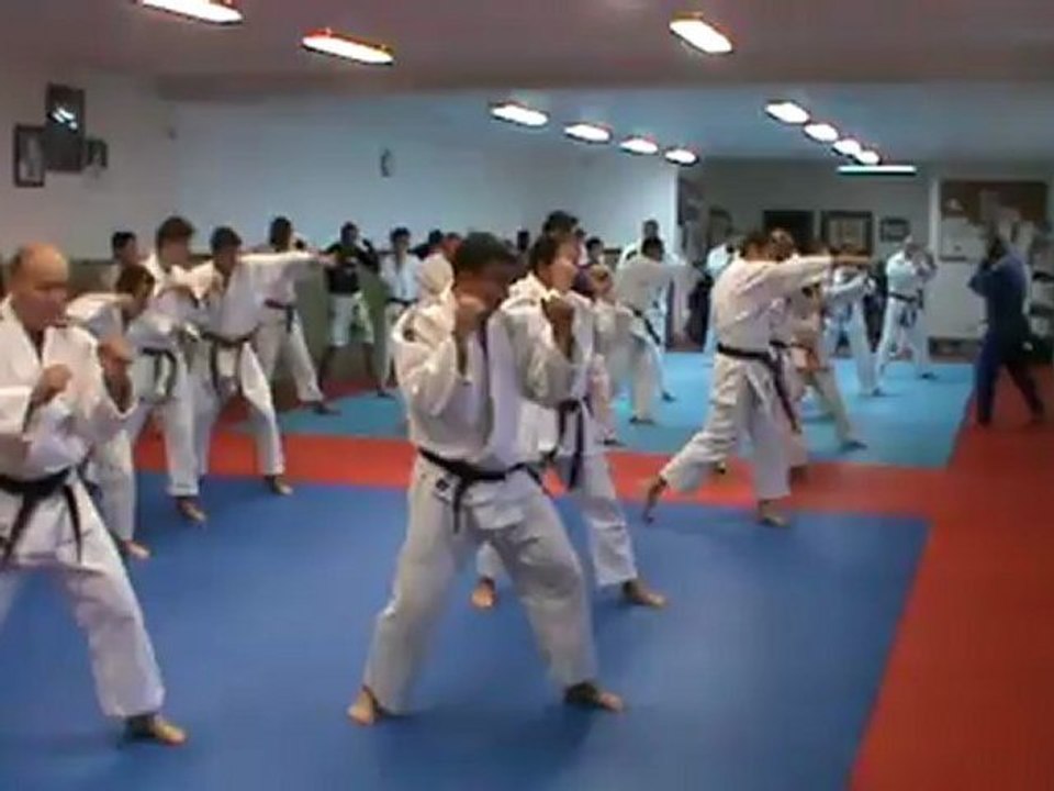 Jujitsu Rollin Philippe