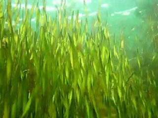 visi lac de viry-chatillon novembre 2012