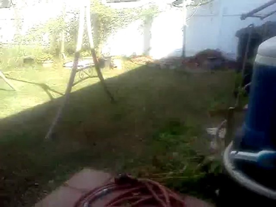 MOV006
