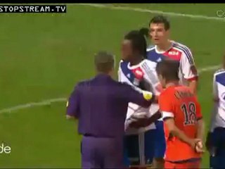 flvplayer_swf_Objet_application_x-shockwave-flash-10